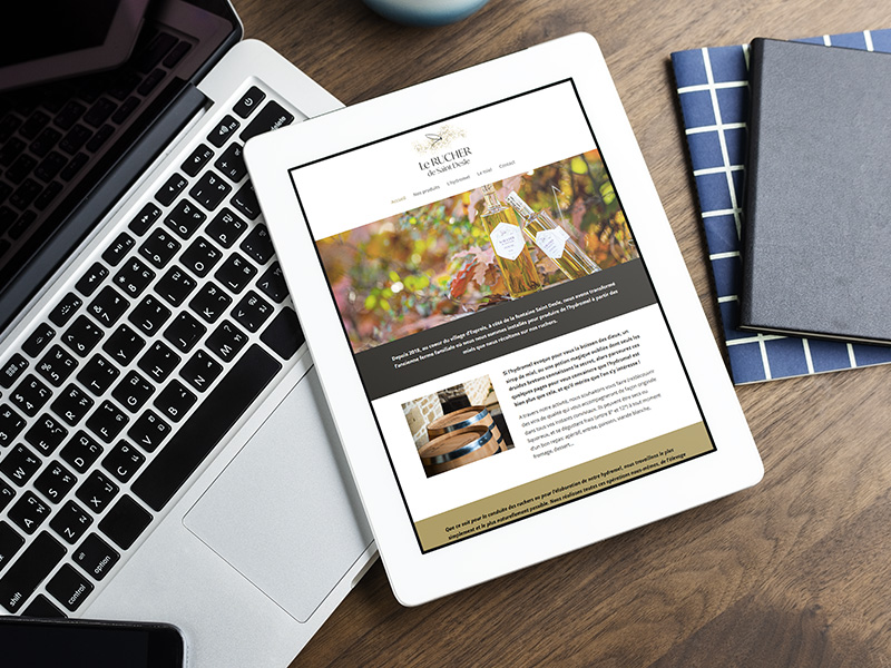 Conception de site web